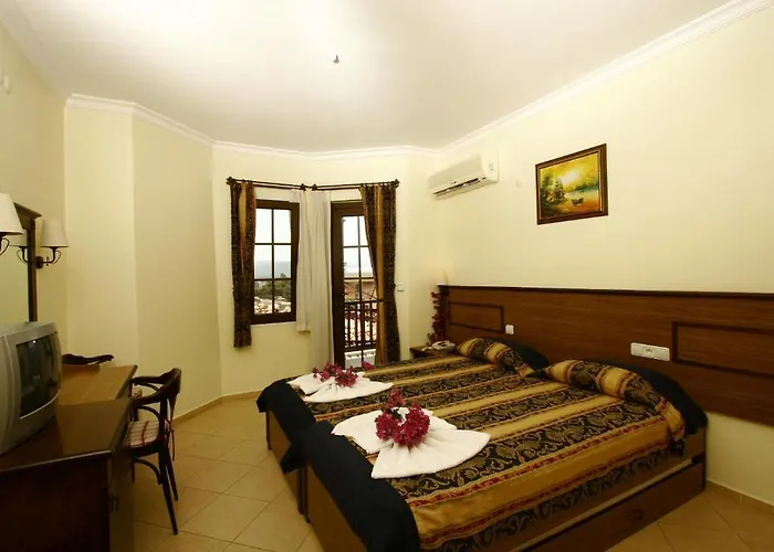 Gokova 2* 아키아카